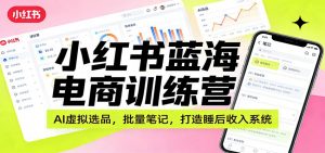 小红书蓝海电商训练营：AI虚拟选品，批量笔记，打造睡后收入系统-金鼎聊项目
