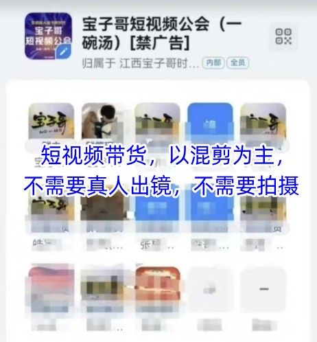 宝子哥头部团队短视频带货，以混剪为主，不需要真人出镜，不需要拍摄【更新26年1月】-金鼎聊项目