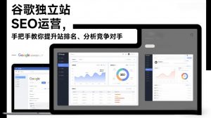谷歌独立站SEO运营，手把手教你提升网站排名、分析竞争对手(更新2026)-金鼎聊项目