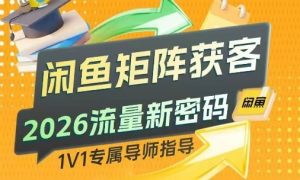 闲鱼矩阵获客，2026流量新密码，只要闲鱼还在，你的行业就有无限精准的客源-金鼎聊项目