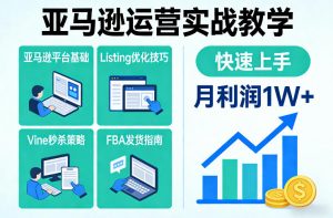 亚马逊运营实战教学,亚马逊平台+Listing优化+Vine秒杀+FBA发货等,快速上手,实现店铺月利润1W-金鼎聊项目