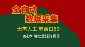 全自动数据采集项目，无需人工，单窗口可达50+收益，操作简单无难度，一个人也能轻松实现矩阵【揭秘】-金鼎聊项目