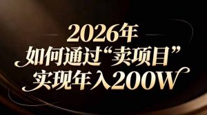 站在2026年的十字路口：一个普通人如何通过卖项目实现年入200万-金鼎聊项目