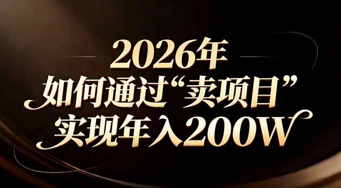 站在2026年的十字路口：一个普通人如何通过卖项目实现年入200万-金鼎聊项目