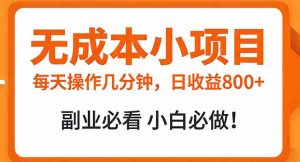 无成本小项目 每天操作几分钟，真实日收益800+ 副业必看 小白必做！-金鼎聊项目