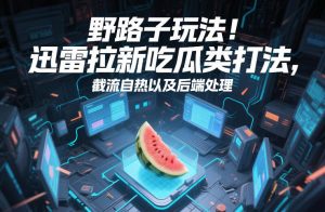 野路子玩法！迅雷拉新吃瓜类打法，截流自热以及后端处理-金鼎聊项目