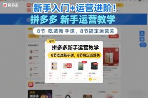 新手入门+运营进阶！拼多多新手运营教学，8节吃透新手课，8节搞定运营关-金鼎聊项目