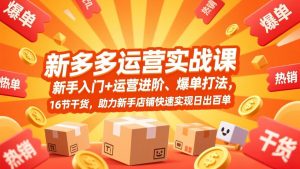 拼多多运营实战课，新手入门+运营进阶、爆单打法，16节干货，助力新手店铺快速实现日出百单-金鼎聊项目