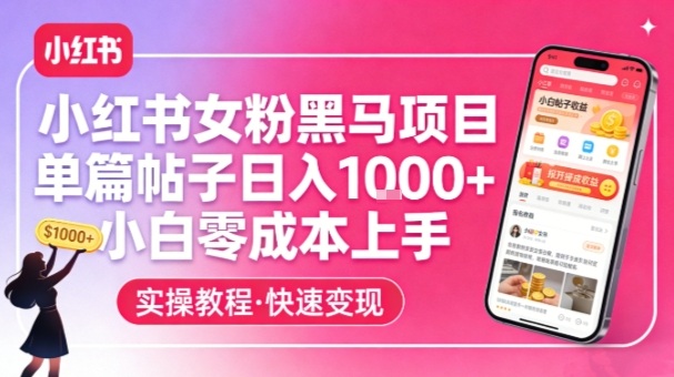 小红书女粉黑马项目，单篇帖子日入1k+，小白零成本上手-金鼎聊项目