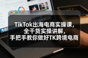 TikTok出海电商实操课,全干货实操讲解,手把手教你做好TK跨境电商-金鼎聊项目