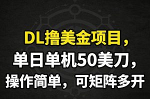 DL撸美金项目，单日单机50美刀，操作简单，可矩阵多开-金鼎聊项目