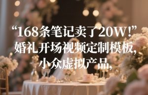 168条笔记卖了20W！婚礼开场视频定制模板，小众虚拟产品-金鼎聊项目