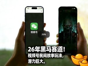 26年黑马赛道，视频号民间故事类玩法，潜力巨大，每日收益超5张-金鼎聊项目