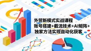 外贸新模式实战课程-更新2月，账号搭建+截流技术+AI矩阵+独家方法实现自动化获客-金鼎聊项目