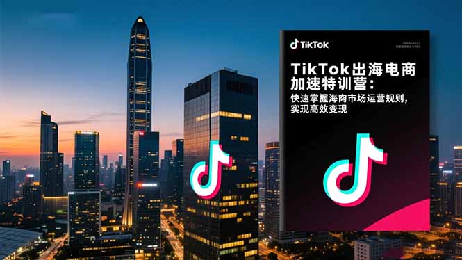 TikTok出海电商加速特训营-更新：快速掌握海外市场运营规则，实现高效变现-金鼎聊项目