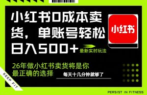 小红书0成本AI卖货，单账号轻松日入500+，完全托管AI，可矩阵放大-金鼎聊项目