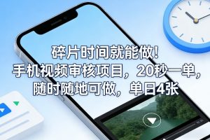 碎片时间就能做！手机视频审核项目，20秒一单，随时随地可做，单日4张+【揭秘】-金鼎聊项目