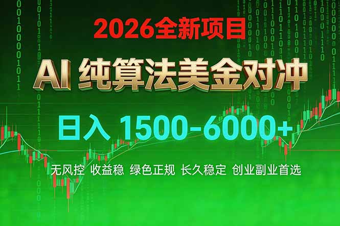 2026 全新美金对冲项目，不套平台赠金，不封号，纯算法对冲，日入 1500-6000+-金鼎聊项目