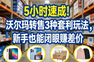 5小时速成！沃尔玛转售3种套利玩法，新手也能闭眼賺差价-金鼎聊项目