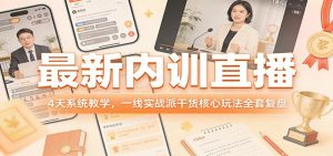 最新内训直播,4天系统教学,一线实战派干货核心玩法全套复盘-金鼎聊项目