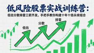 低风险股票实战训练营：低估分散排雷三箭齐发，手把手教你构建十年十倍永续组合-金鼎聊项目