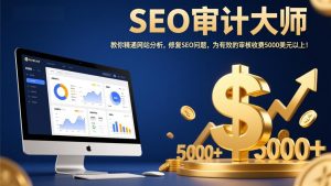 SEO审计大师：教你精通网站分析，修复SEO问题，为有效的审核收费5000美元以上！-金鼎聊项目