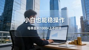 2026新项目，小白也能稳操作，每单盈利1000+上不封顶-金鼎聊项目