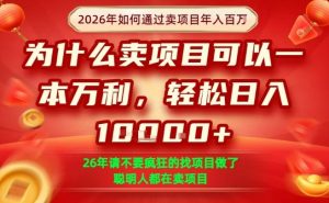 一单净利润1K+，26年想年入100个W，死磕卖项目就够了【揭秘】-金鼎聊项目
