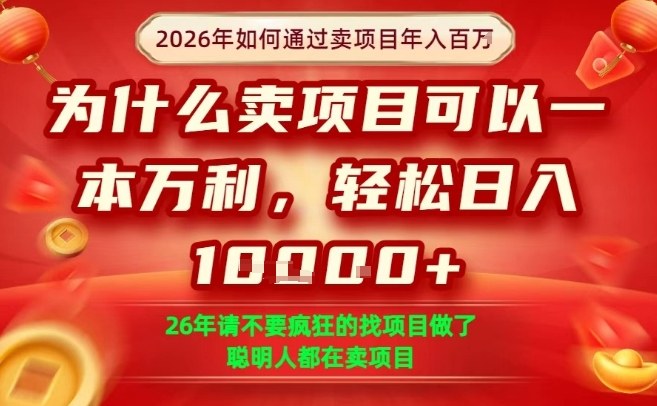 一单净利润1K+，26年想年入100个W，死磕卖项目就够了【揭秘】-金鼎聊项目