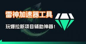 雷神加速器项目模拟器_无脑1分钟1条视频矩阵_疯狂报单打法【焚诀】-金鼎聊项目