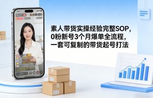 素人短视频带货实操经验完整SOP，0粉新号3个月爆单全流程，一套可复制的带货起号打法-金鼎聊项目