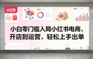 小白零门槛入局小红书电商，开店到运营，轻松上手出单-金鼎聊项目