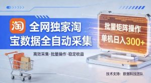 全网独家,淘宝数据全自动采集项目,批量可矩阵,单机轻松日入300【揭秘】-金鼎聊项目
