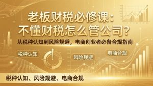 老板财税必修课：不懂财税怎么管公司？从税种认知到风险规避，电商创业者必备合规指南-金鼎聊项目