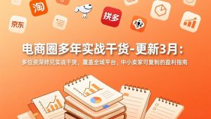 电商圈多年实战干货-更新3月：多位资深师兄实战干货，覆盖全域平台，中小卖家可复制的盈利指南-金鼎聊项目