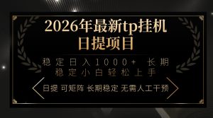 2026年最新tp挂机日提项目：稳定日入1000+小白轻松上手-金鼎聊项目
