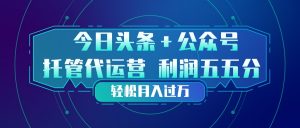 头条加公众号 托管代运营 利润分成模式 轻松月入过万-金鼎聊项目