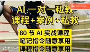 AI指令实战课,课程+案例,80节AI实战课程,笔记指令随意享用,课程指令随意享用(更新26年3月)-金鼎聊项目