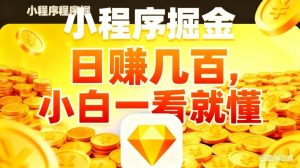 微信小程序掘金项目，不用复杂操作，5分钟就能学会上手操作，日入几张【揭秘】-金鼎聊项目