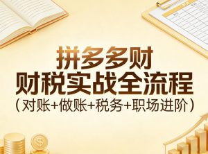 拼多多财税实战全流程(对账+做账+税务+职场进阶)-金鼎聊项目