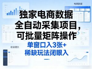 独家电商数据全自动采集项目，可批量矩阵操作，单窗口日入3张+，稀缺玩法闭眼入【揭秘】-金鼎聊项目