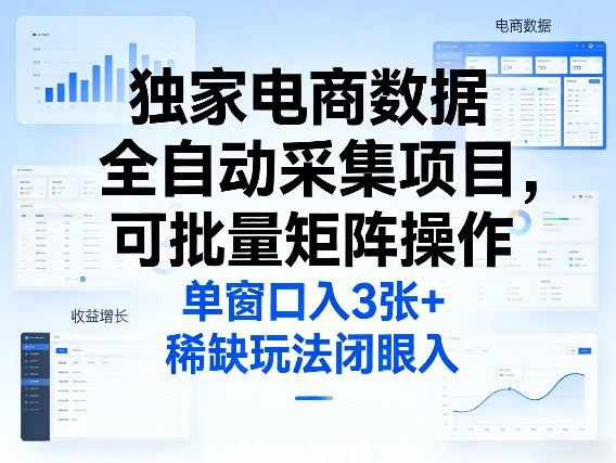 独家电商数据全自动采集项目，可批量矩阵操作，单窗口日入3张+，稀缺玩法闭眼入【揭秘】-金鼎聊项目