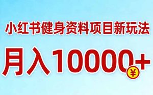小红书健身资料项目最新玩法，月入10000＋，收益潜力可以无限放大-金鼎聊项目