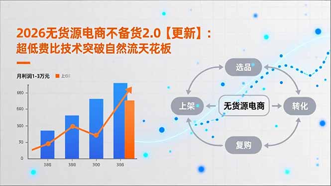 2026无货源电商不备货2.0【更新-3月】：超低费比技术突破自然流天花板，单店月利润1-3万元-金鼎聊项目