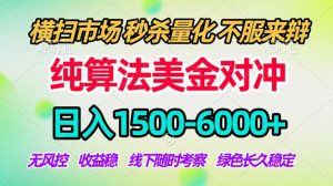 2026美金掘金新风口-纯算法对冲震撼上线!日入1500-6000+,长久合规稳健,轻松摆脱死工资-金鼎聊项目