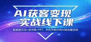AI获客变现实战线下课：配套提示词+逐字稿+PPT，手把手教你用AI做流量变现-金鼎聊项目
