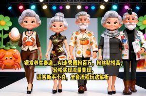 银发养生赛道，AI走秀圈粉百万，粉丝粘性高，轻松实现流量变现，适合新手小白，全套流程玩法解析-金鼎聊项目