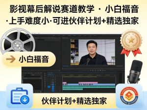 某大佬的影视幕后解说赛道教学，小白福音，上手难度小，可进伙伴计划+精选独家-金鼎聊项目