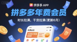 拼多多年费会员，实经验分享操，时长拉满，干货拉满(更新26年3月)-金鼎聊项目