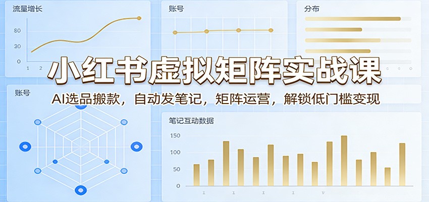 小红书虚拟矩阵实战课：AI选品搬款，自动发笔记，矩阵运营，解锁低门槛变现-金鼎聊项目